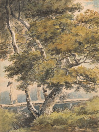 Trees, with a Man Crossing a Footbridge by Paul Sandby